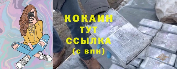 тгк Алексин