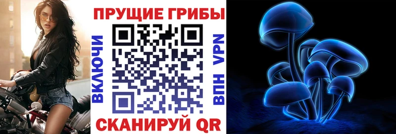 hydra рабочий сайт  Любим  Галлюциногенные грибы Cubensis  как найти  